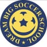 Dream Big Soccer School India, Karur logo